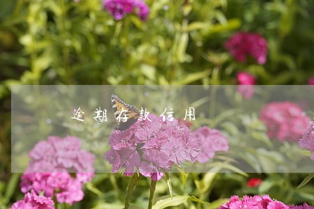 逾期存款信用 逾期存款信用