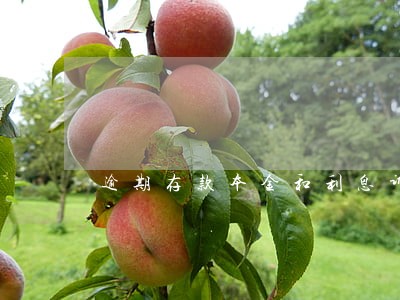 逾期存款本金和利息诉讼时效 逾期存款本金和利息诉讼时效