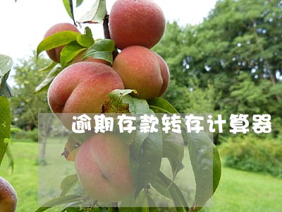 逾期存款转存计算器 逾期存款转存计算器