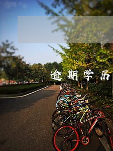 逾期学历申报检讨 逾期学历申报检讨