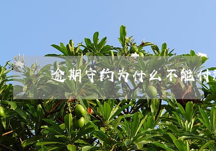 逾期守约为什么不能付款 逾期守约为什么不能付款