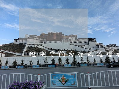 逾期守约为什么还增加了芝麻信誉 逾期守约为什么还增加了芝麻信誉