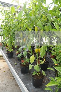 逾期守约有影响吗 逾期守约有影响吗