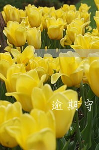 逾期守约记录怎么去掉 逾期守约记录怎么去掉
