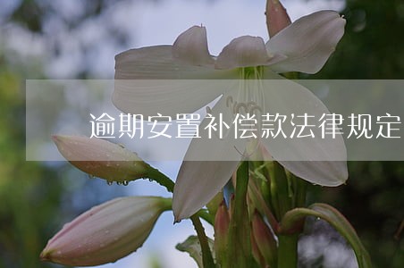逾期安置补偿款法律规定 逾期安置补偿款法律规定