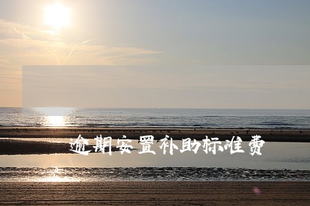 逾期安置补助标准费 逾期安置补助标准费