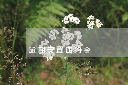 逾期安置违约金 逾期安置违约金