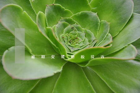 逾期安装地板投诉 逾期安装地板投诉
