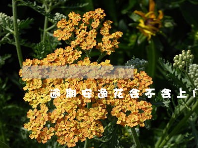 逾期安逸花会不会上门催收 逾期安逸花会不会上门催收