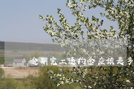 逾期完工违约金应该是多少
