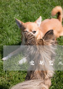 逾期完工违约金截止时间 逾期完工违约金截止时间