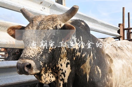 逾期完工违约金的标准山东省 逾期完工违约金的标准山东省
