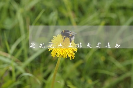 逾期完成工作处罚通知 逾期完成工作处罚通知