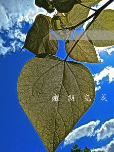逾期完成承揽工作如何确定损失 逾期完成承揽工作如何确定损失