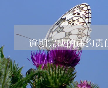 逾期完成的违约责任 逾期完成的违约责任