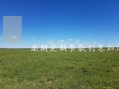 逾期定期存款利息如何计算 逾期定期存款利息如何计算