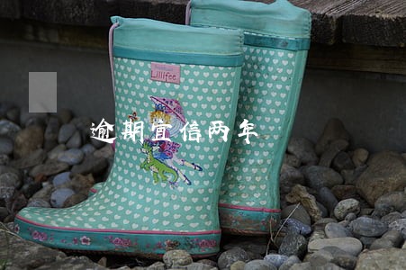 逾期宜信两年