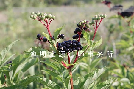 逾期宝源律师事务所 逾期宝源律师事务所