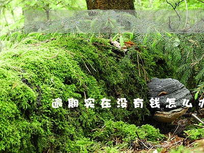 逾期实在没有钱怎么办 逾期实在没有钱怎么办