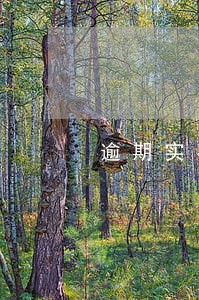 逾期实在还不上可以分期吗 逾期实在还不上可以分期吗