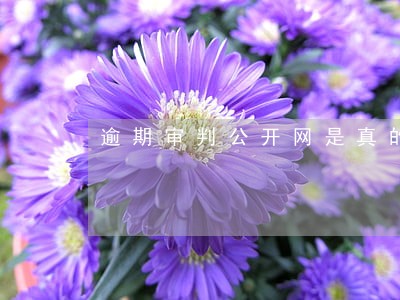 逾期审判公开网是真的吗 逾期审判公开网是真的吗