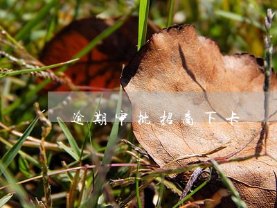 逾期审批招商下卡 逾期审批招商下卡