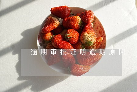 逾期审批证明逾期原因 逾期审批证明逾期原因