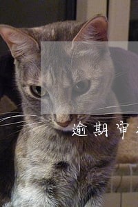 逾期审批还款时间