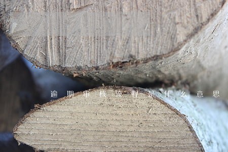 逾期审核流程是什么意思 逾期审核流程是什么意思