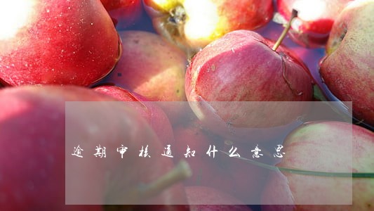 逾期审核通知什么意思 逾期审核通知什么意思