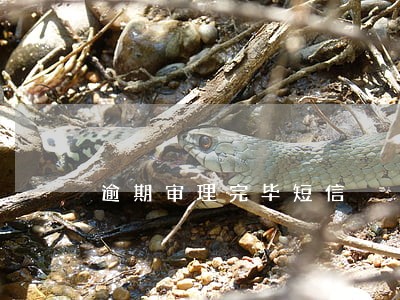 逾期审理完毕短信 逾期审理完毕短信