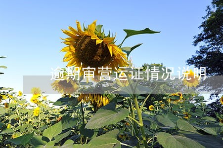 逾期审营运证情况说明 逾期审营运证情况说明