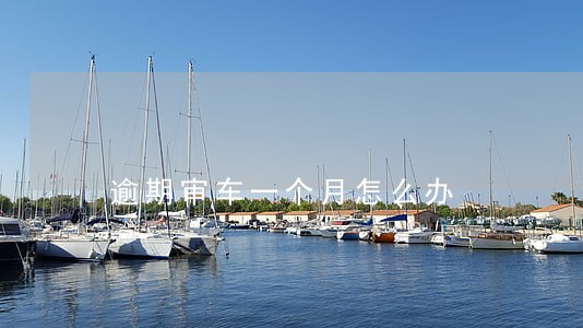 逾期审车一个月怎么办 逾期审车一个月怎么办