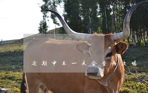 逾期审车一天会查两次吗 逾期审车一天会查两次吗