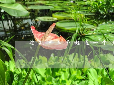 逾期审车不超过一个月 逾期审车不超过一个月