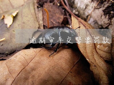 逾期审车交警要罚款 逾期审车交警要罚款