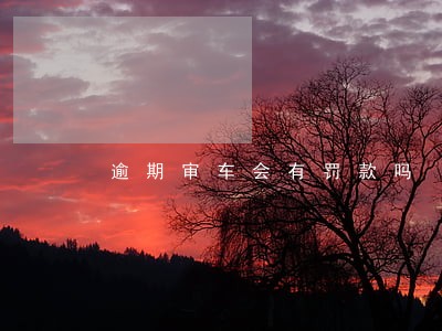 逾期审车会有罚款吗
