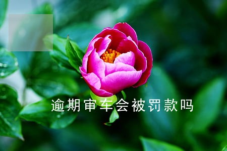 逾期审车会被罚款吗 逾期审车会被罚款吗