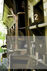逾期审车先交了保险 逾期审车先交了保险