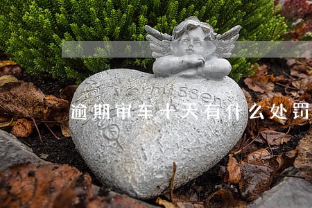逾期审车十天有什么处罚 逾期审车十天有什么处罚