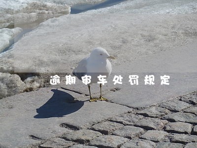 逾期审车处罚规定 逾期审车处罚规定
