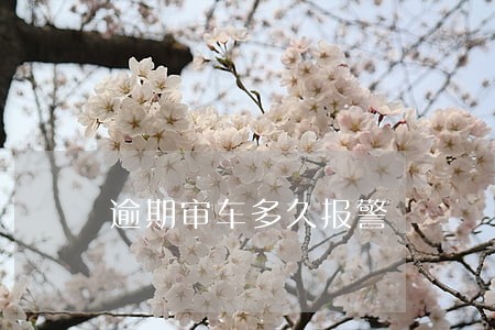 逾期审车多久报警 逾期审车多久报警