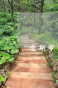 逾期审车怎样处罚规定 逾期审车怎样处罚规定