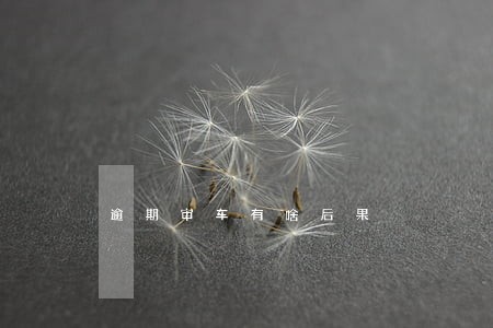 逾期审车有啥后果 逾期审车有啥后果