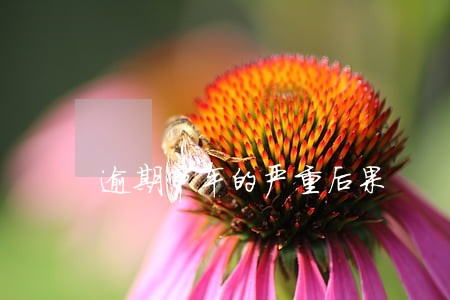 逾期审车的严重后果 逾期审车的严重后果