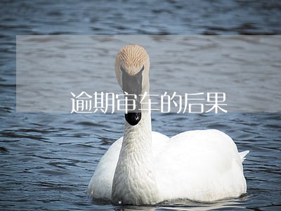 逾期审车的后果 逾期审车的后果