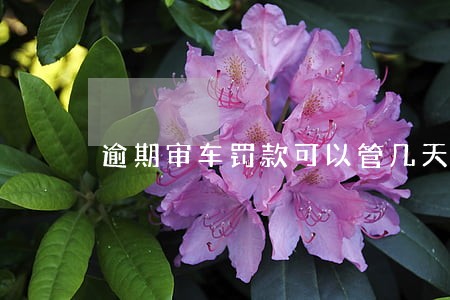 逾期审车罚款可以管几天 逾期审车罚款可以管几天