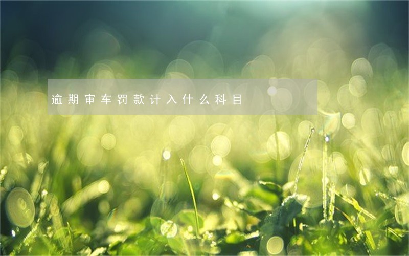 逾期审车罚款计入什么科目 逾期审车罚款计入什么科目