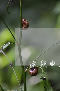 逾期审验罚款