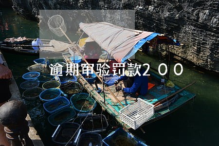 逾期审验罚款200